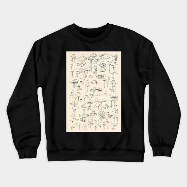 Naturalist Mushrooms Crewneck Sweatshirt by bluespecsstudio